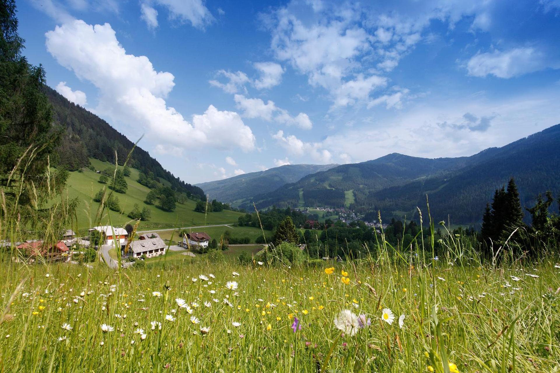 Pension & Appartements Ronacherhof Bad Kleinkirchheim Εξωτερικό φωτογραφία
